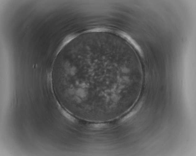 X0000112151425200908071107
