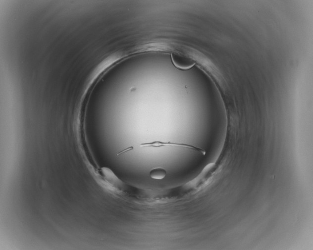 X0000112151426200908071107