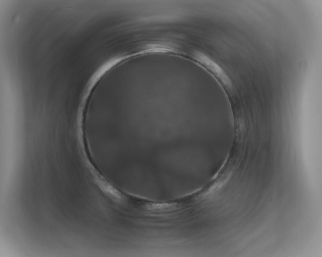 X0000112151427200908071107
