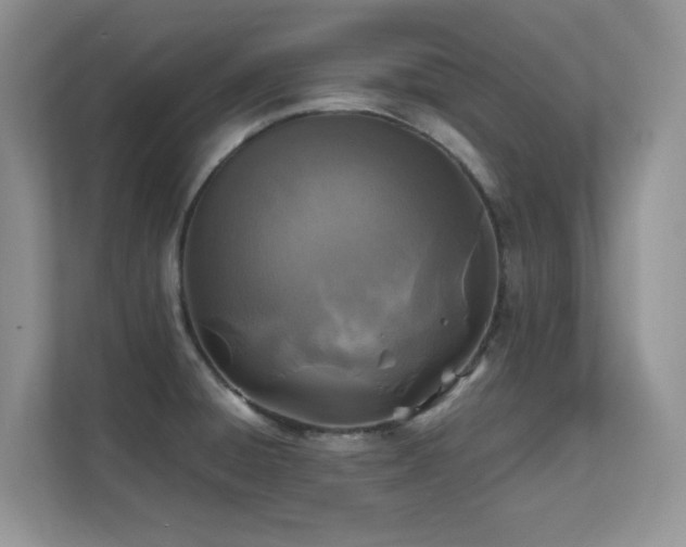 X0000112151428200908071107