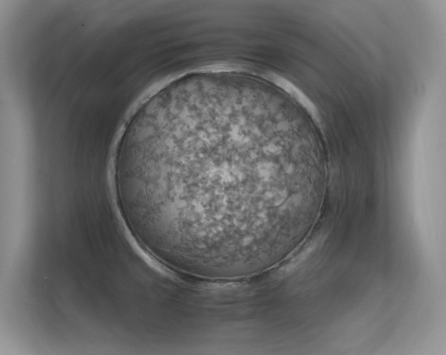 X0000112151429200908071107