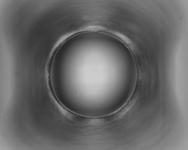 X0000112151430200908071107