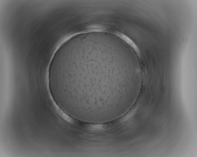 X0000112151431200908071107