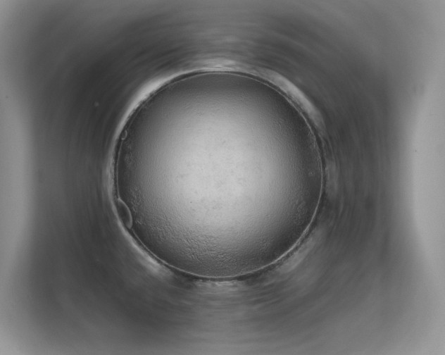 X0000112151432200908071107