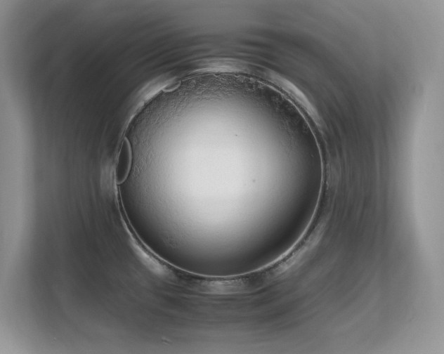 X0000112151433200908071107