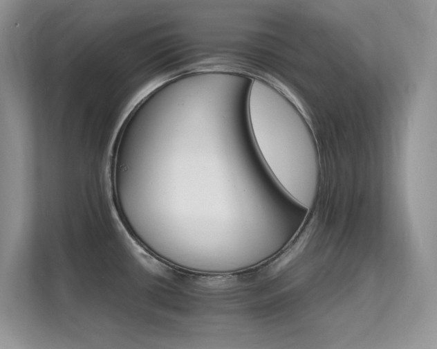 X0000112151434200908071107