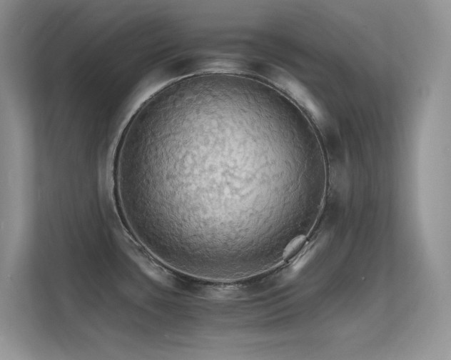 X0000112151435200908071107