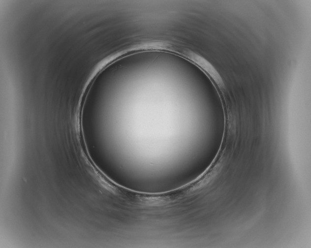 X0000112151436200908071107