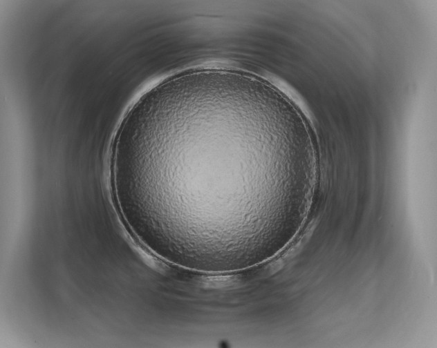X0000112151437200908071107