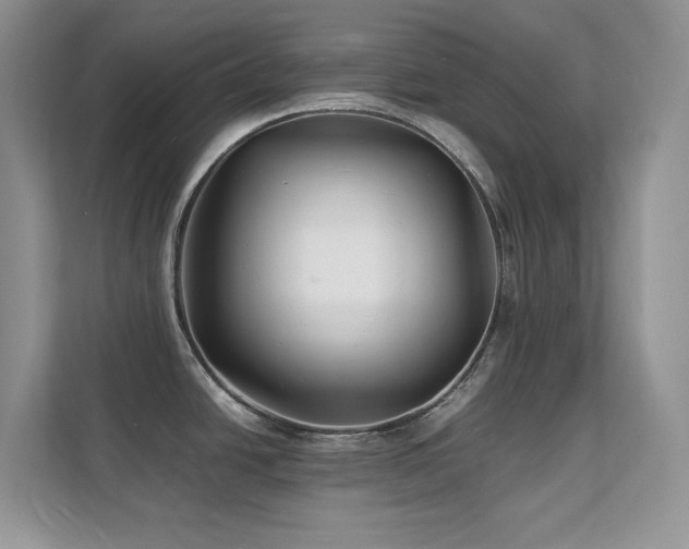 X0000112151438200908071107