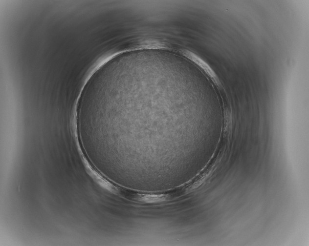 X0000112151439200908071107