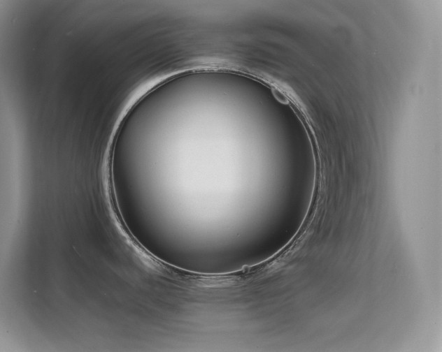 X0000112151440200908071107