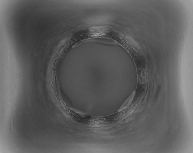 X0000112151441200908071106
