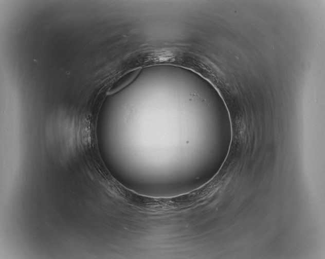 X0000112151442200908071106