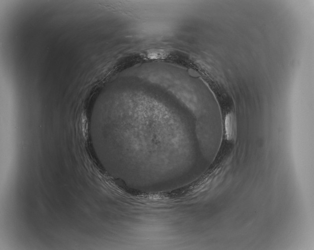 X0000112151443200908071106