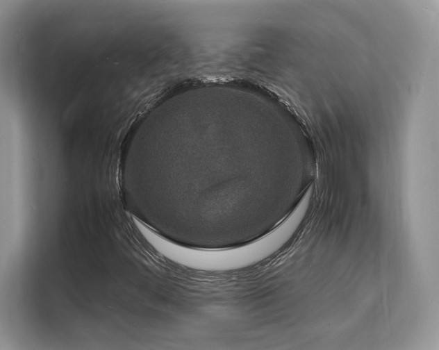 X0000112151444200908071106