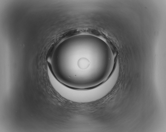 X0000112151445200908071106