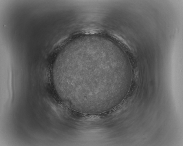 X0000112151446200908071106