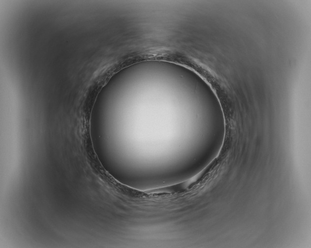 X0000112151447200908071106