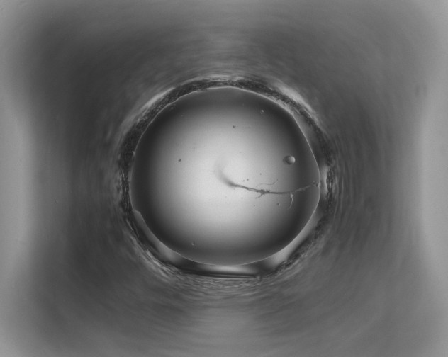 X0000112151448200908071106