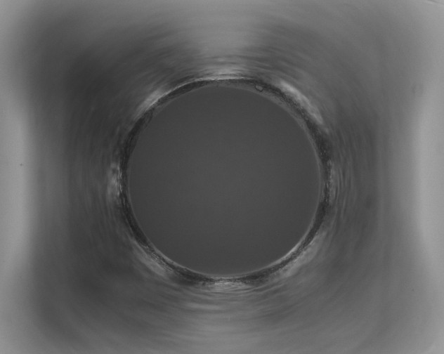 X0000112151449200908071106