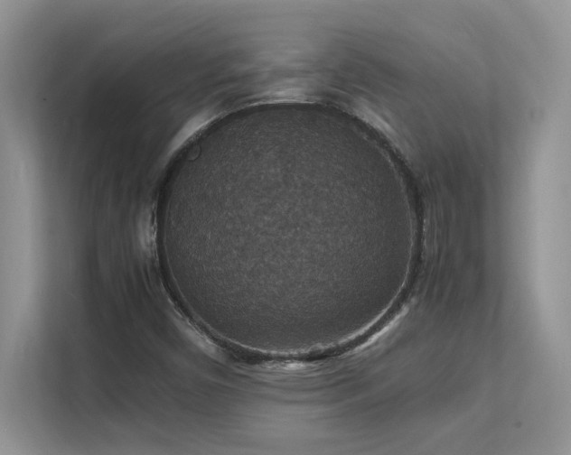X0000112151450200908071106