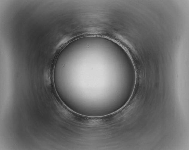 X0000112151451200908071106