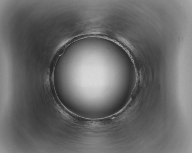 X0000112151452200908071106