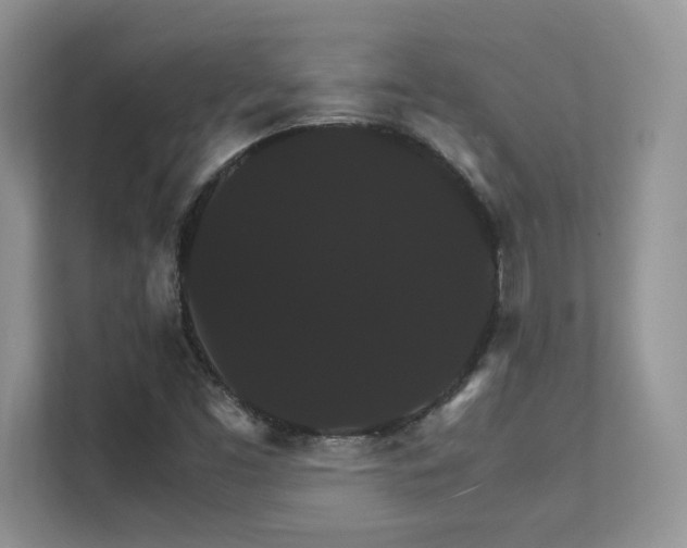 X0000112151453200908071106