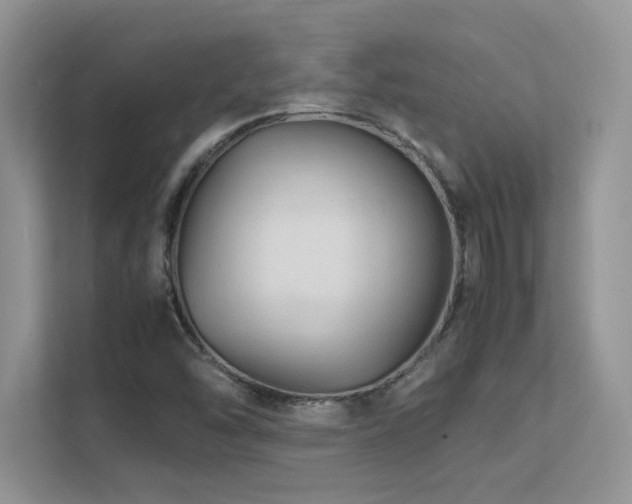 X0000112151454200908071106