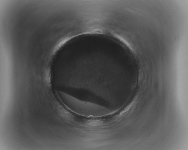 X0000112151455200908071106