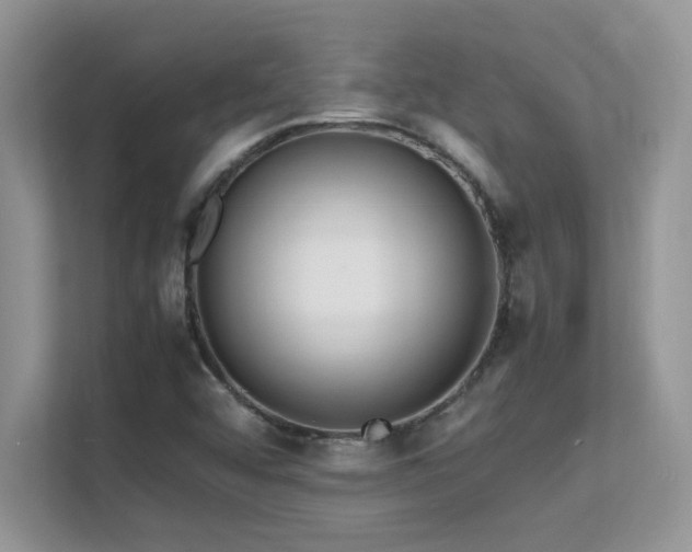 X0000112151456200908071106