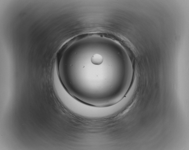 X0000112151457200908071106
