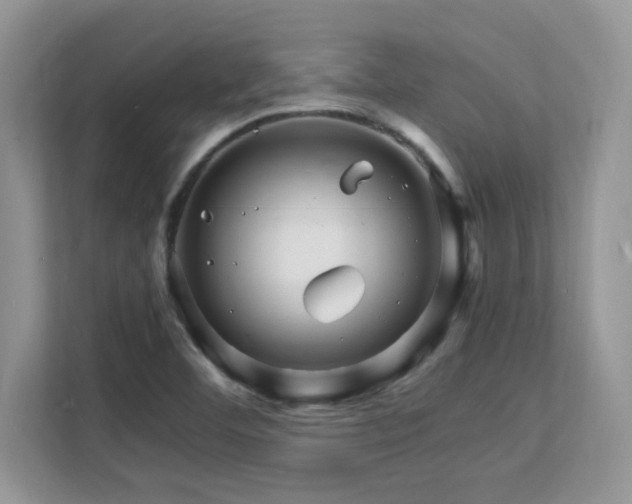 X0000112151460200908071106