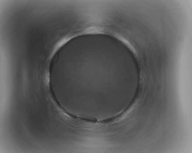 X0000112151461200908071106