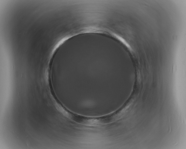 X0000112151463200908071106