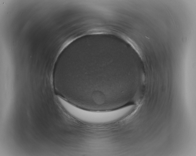 X0000112151465200908071106