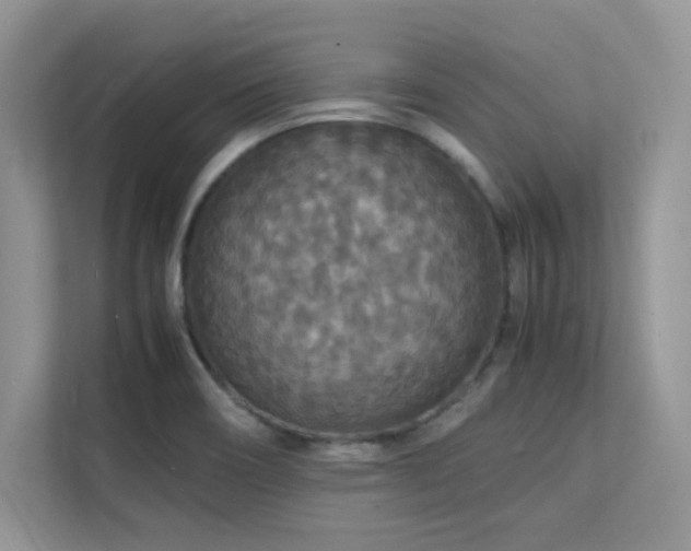 X0000112151466200908071106