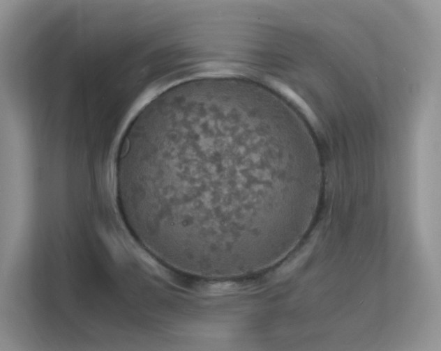 X0000112151467200908071106