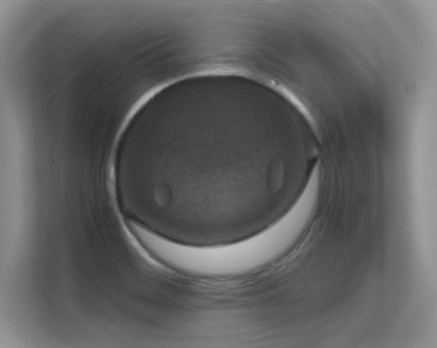 X0000112151468200908071106