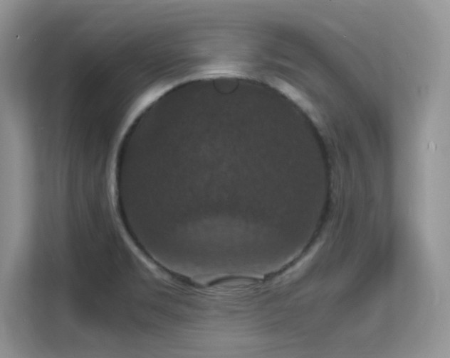 X0000112151469200908071106