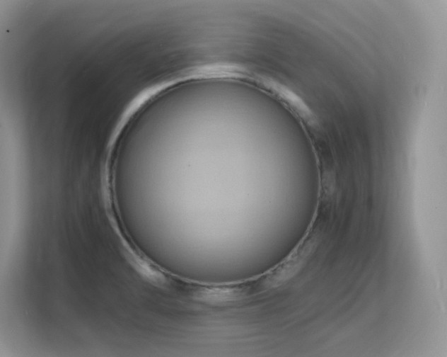 X0000112151470200908071106