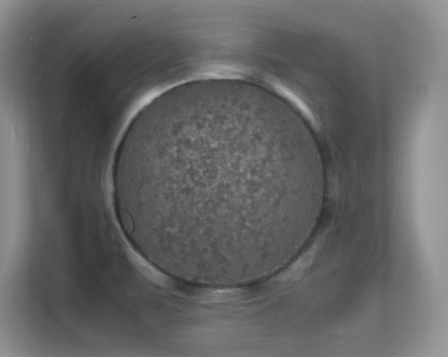 X0000112151471200908071106