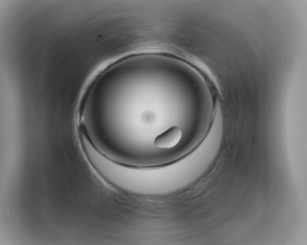X0000112151472200908071106