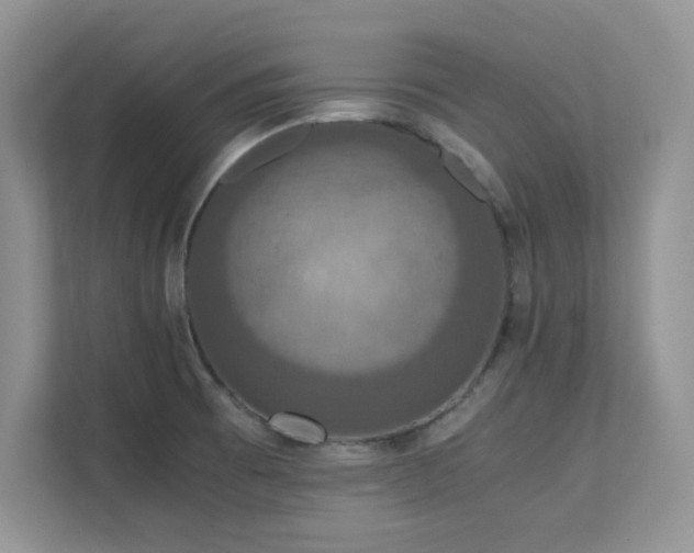 X0000112151473200908071106