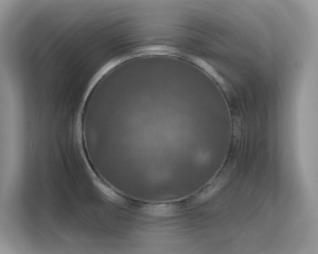 X0000112151474200908071106