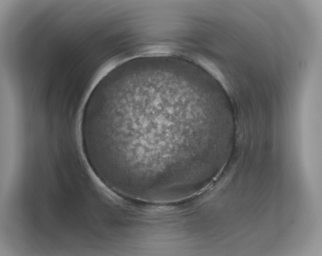 X0000112151475200908071106