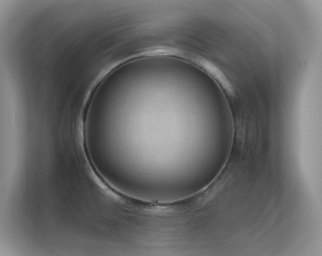 X0000112151476200908071106