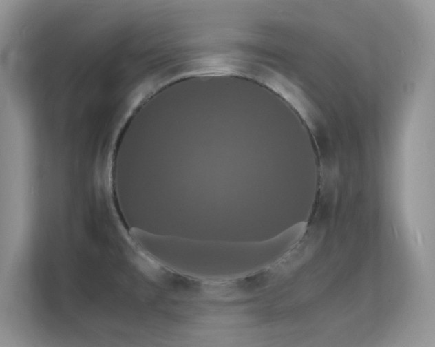 X0000112151477200908071106