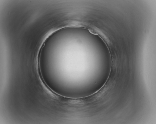 X0000112151479200908071106